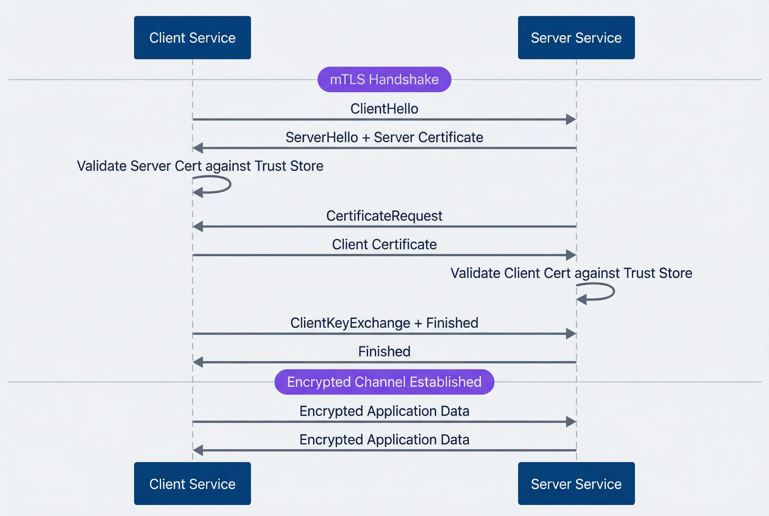 mTLS handshake between client and server services.